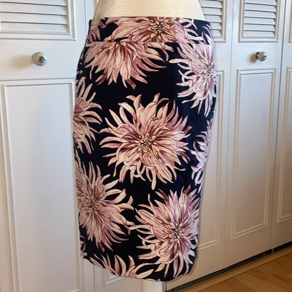 Ann Taylor Pencil Skirt 🌸